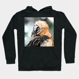 Lammergeier Hoodie